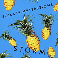 ＳＯＩＬ＆“ＰＩＭＰ”ＳＥＳＳＩＯＮＳ「 ＳＴＯＲＭ」