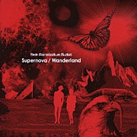 ９ｍｍ　Ｐａｒａｂｅｌｌｕｍ　Ｂｕｌｌｅｔ「 Ｓｕｐｅｒｎｏｖａ／Ｗａｎｄｅｒｌａｎｄ」