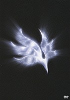 ＢＵＭＰ　ＯＦ　ＣＨＩＣＫＥＮ「 ｏｒｂｉｔａｌ　ｐｅｒｉｏｄ」