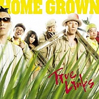 ＨＯＭＥ　ＧＲＯＷＮ「 トゥルー・リンクス」