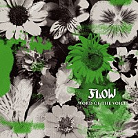 ＦＬＯＷ「 ＷＯＲＤ　ＯＦ　ＴＨＥ　ＶＯＩＣＥ」