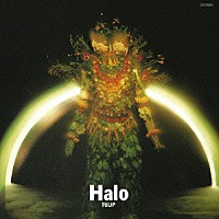 チューリップ「 Ｈａｌｏ」