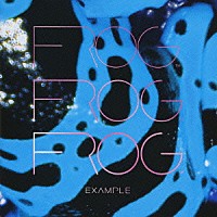 ＦＲＯＧ「 ＥＸＡＭＰＬＥ」