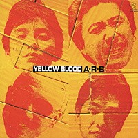 ＡＲＢ「 ＹＥＬＬＯＷ　ＢＬＯＯＤ」