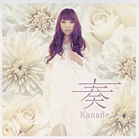 Ｋａｎａｄｅ「 奏（カナデ）」