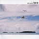 ｂｉｒｄ「ＭＹ　ＬＯＶＥ」