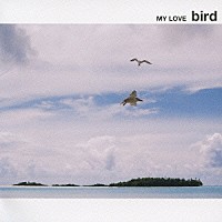 ｂｉｒｄ「 ＭＹ　ＬＯＶＥ」