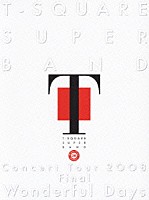 Ｔ－ＳＱＵＡＲＥ　ＳＵＰＥＲ　ＢＡＮＤ「 Ｔ－ＳＱＵＡＲＥ　ＳＵＰＥＲ　ＢＡＮＤ　Ｃｏｎｃｅｒｔ　Ｔｏｕｒ　２００８　Ｆｉｎａｌ　“Ｗｏｎｄｅｒｆｕｌ　Ｄａｙｓ”」