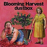 ｄｕｓｔｂｏｘ「 Ｂｌｏｏｍｉｎｇ　Ｈａｒｖｅｓｔ」