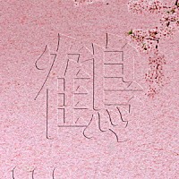 鶴「 桜」