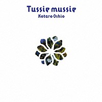 押尾コータロー「 Ｔｕｓｓｉｅ　ｍｕｓｓｉｅ（タッジーマッジー）」