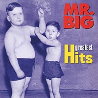 ＭＲ．ＢＩＧ「 グレイテスト・ヒッツ」