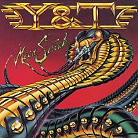 Ｙ＆Ｔ「 ミーン・ストリーク」