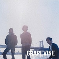 ＧＲＡＰＥＶＩＮＥ「 疾走」