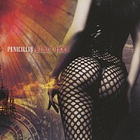 ＰＥＮＩＣＩＬＬＩＮ「 ＢＬＡＣＫ　ＨＯＬＥ」