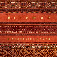 ＡＣＩＤＭＡＮ「 Ａ　ｂｅａｕｔｉｆｕｌ　ｇｒｅｅｄ」