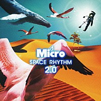 Ｍｉｃｒｏ「 ＳＰＡＣＥ　ＲＨＹＴＨＭ　２．０」