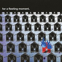 圭「 ｆｏｒ　ａ　ｆｌｅｅｔｉｎｇ　ｍｏｍｅｎｔ．」