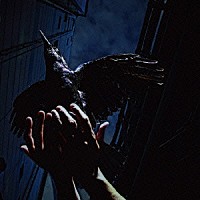 ９ｍｍ　Ｐａｒａｂｅｌｌｕｍ　Ｂｕｌｌｅｔ「 Ｃｏｌｄ　Ｅｄｇｅ　ｅ．ｐ．」