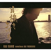 甲斐バンド　ｓｏｍｅｔｉｍｅｓ　ＫＡＩ　ＹＯＳＨＩＨＩＲＯ「 目線を上げろ」