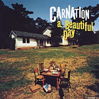 カーネーション「 ａ　Ｂｅａｕｔｉｆｕｌ　Ｄａｙ　（Ｄｅｌｕｘｅ　Ｅｄｉｔｉｏｎ）」