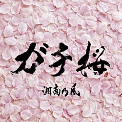 湘南乃風「ガチ桜」