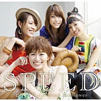 ＳＰＥＥＤ「 ヒマワリ　－Ｇｒｏｗｉｎｇ　Ｓｕｎｆｌｏｗｅｒ－」