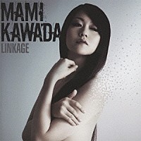 ＭＡＭＩ　ＫＡＷＡＤＡ「 ＬＩＮＫＡＧＥ」