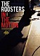 ＴＨＥ　ＲＯＯＳＴＥＲＳ「ＩＮ　ＴＨＥ　ＭＯＴＩＯＮ」