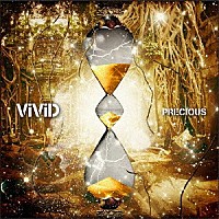 ＶｉＶｉＤ「 ＰＲＥＣＩＯＵＳ」