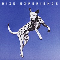 ＲＩＺＥ「 ＥＸＰＥＲＩＥＮＣＥ」