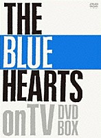 ＴＨＥ　ＢＬＵＥ　ＨＥＡＲＴＳ「 ＴＨＥ　ＢＬＵＥ　ＨＥＡＲＴＳ　ｏｎ　ＴＶ　ＤＶＤ－ＢＯＸ」