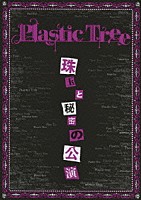 プラスティック　トゥリー「 珠玉と秘密の公演」