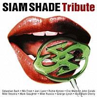 （オムニバス）「 ＳＩＡＭ　ＳＨＡＤＥ　トリビュート」