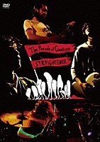 ＳＴＲＡＩＧＨＴＥＮＥＲ「 Ｔｈｅ　Ｐａｒａｄｅ　ｏｆ　Ｃｒｅａｔｕｒｅｓ」