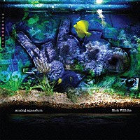 リック・ウィルハイト「 Ａｎａｌｏｇ　Ａｑｕａｒｉｕｍ」