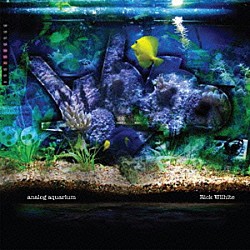 リック・ウィルハイト「Ａｎａｌｏｇ　Ａｑｕａｒｉｕｍ」