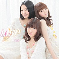 ＬＩＳＰ「 Ｌｉｇｈｔ　Ｉｎ　ａ　Ｓｍａｌｌ　Ｐｒｉｓｍ」