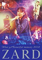 ＺＡＲＤ「 ＺＡＲＤ　Ｗｈａｔ　ａ　ｂｅａｕｔｉｆｕｌ　ｍｅｍｏｒｙ　２００８」