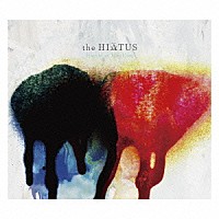 ｔｈｅ　ＨＩＡＴＵＳ「 Ｈａｔｃｈｉｎｇ　Ｍａｙｆｌｉｅｓ」