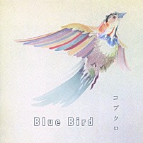 コブクロ 「Ｂｌｕｅ　Ｂｉｒｄ」