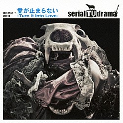 ｓｅｒｉａｌ　ＴＶ　ｄｒａｍａ「愛が止まらない　－Ｔｕｒｎ　Ｉｔ　Ｉｎｔｏ　Ｌｏｖｅ－」