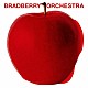 ＢＲＡＤＢＥＲＲＹ　ＯＲＣＨＥＳＴＲＡ「Ｖｏｌ．０」