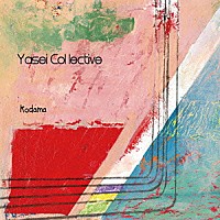 Ｙａｓｅｉ　Ｃｏｌｌｅｃｔｉｖｅ「 ＫＯＤＡＭＡ」