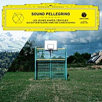 ＤＥＸＰＩＳＴＯＬＳ　×　Ｓｏｕｎｄ　Ｐｅｌｌｅｇｒｉｎｏ　Ｔｈｅｒｍａｌ　Ｔｅａｍ「 ＬＥＳ　ＪＥＵＮＥＳ　ＡＮＮＥＥＳ／若かりし日々」