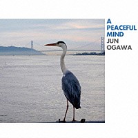 小川淳「 Ａ　ＰＥＡＣＥＦＵＬ　ＭＩＮＤ」