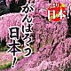 （オムニバス） 秋川雅史 天童よしみ 荒木一郎 ＢＥＧＩＮ　ｗｉｔｈ　アホナスターズ チェリッシュ 海援隊 いちごいちえ「やっぱり日本！がんばろう日本！」