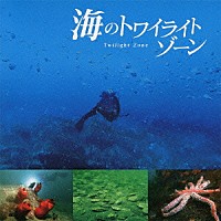 黒石ひとみ「 海のトワイライトゾーン」