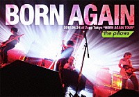 ｔｈｅ　ｐｉｌｌｏｗｓ「 ＢＯＲＮ　ＡＧＡＩＮ　２０１１．０４．２４　ａｔ　Ｚｅｐｐ　Ｔｏｋｙｏ“ＨＯＲＮ　ＡＧＡＩＮ　ＴＯＵＲ”」