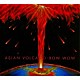 ＢＯＷＷＯＷ「ＡＳＩＡＮ　ＶＯＬＣＡＮＯ」